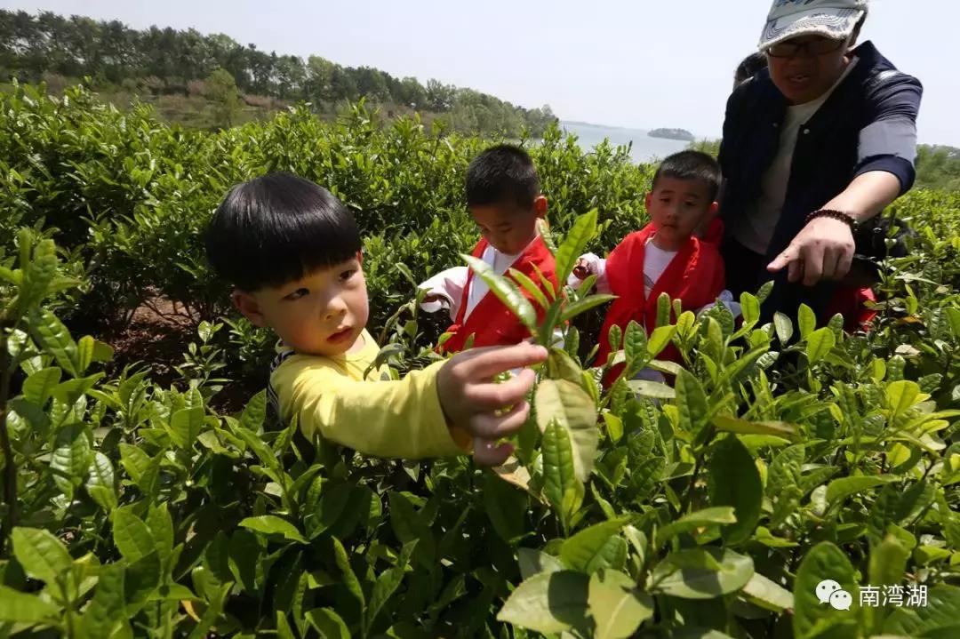 信阳十一自驾游推荐表南湾湖,十一假期旅游推荐信阳自驾游