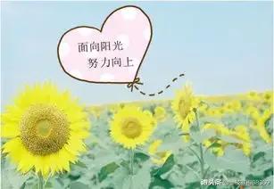 人教高中英语必修1-5单词汇总,高中英语必修三unit5单词表人教版