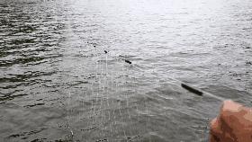 青田旅游必去十大景点,青田旅游攻略必去的景点