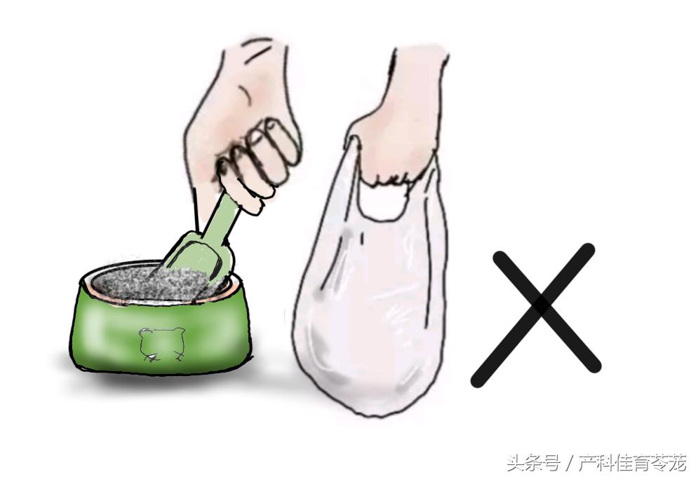 孕期感染弓形体,孕期接触狗狗一定会感染弓形虫吗