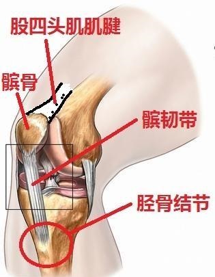 小孩子经常膝盖痛是什么原因,儿童膝盖痛警惕三种病