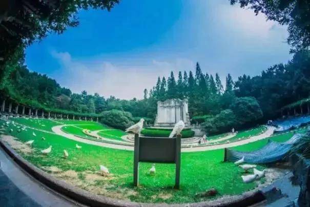 出去人从众,玄武为你安排了身边的风景