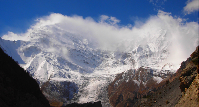 适合带着去旅行的宠物,宠物旅行攻略如何带宠物出门旅游