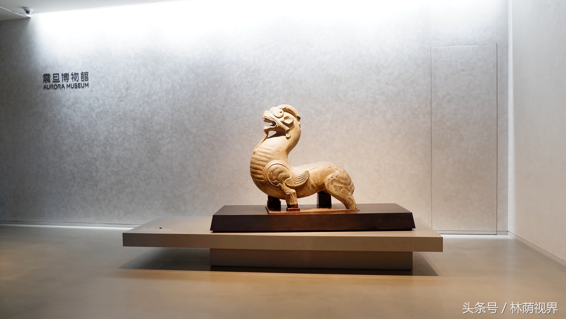 上海深度一日游,浦东金桥镇一日游