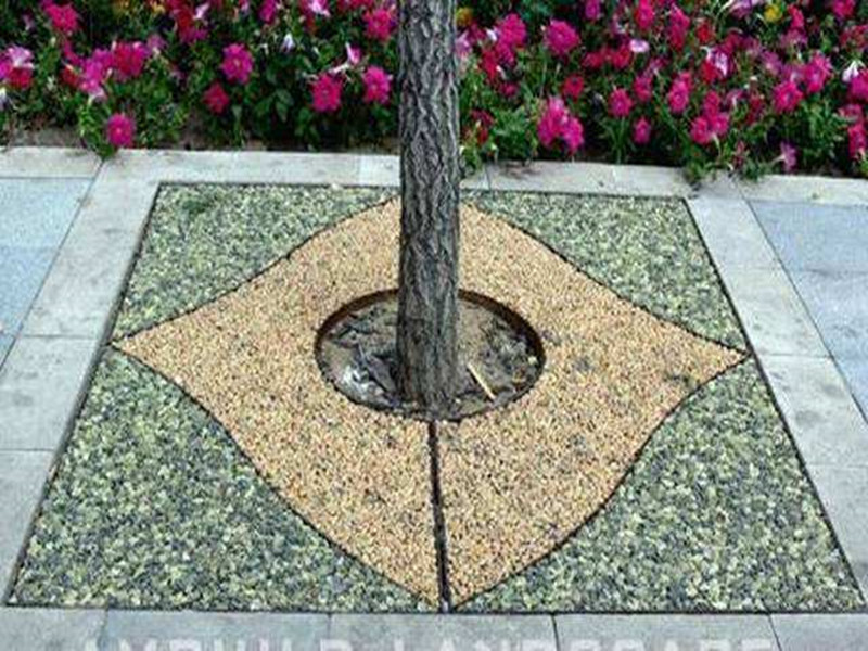 树木快枯死时的表现,树木长叶后死亡