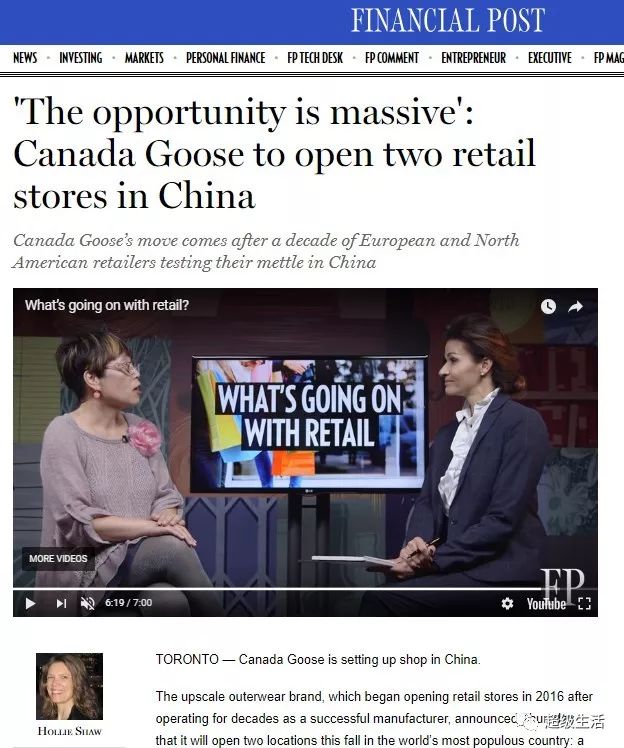 加拿大鹅卖假货,加拿大鹅打架事件