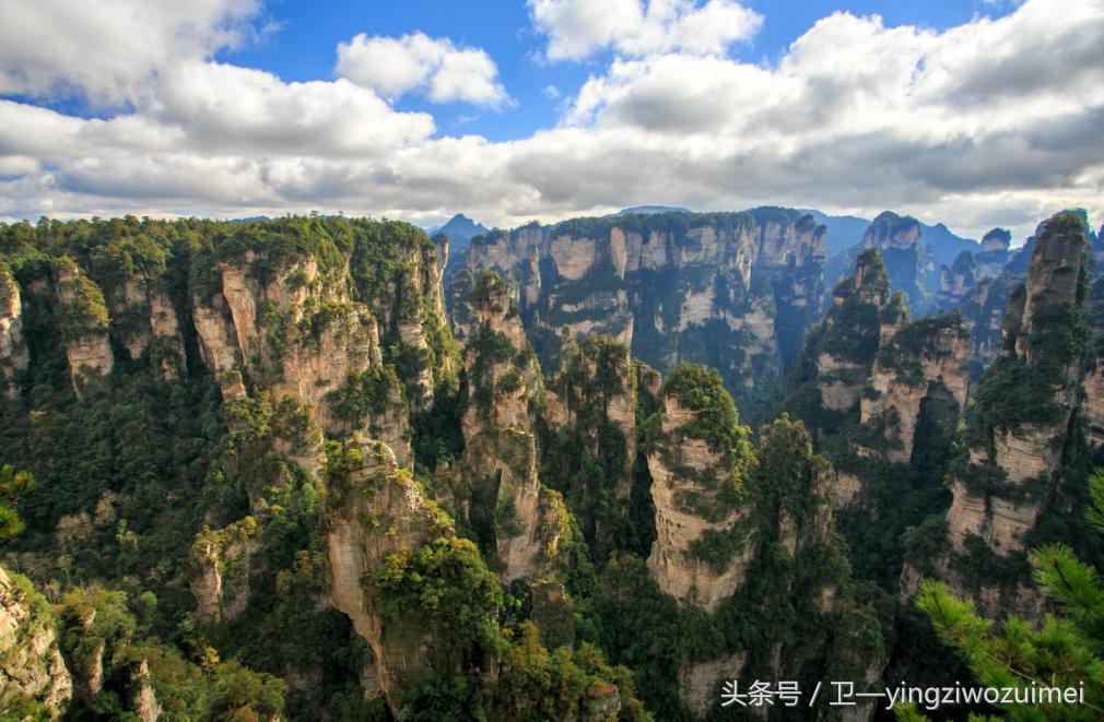 张家界自驾游一日游攻略大全最新,自驾游张家界旅游1天详细攻略