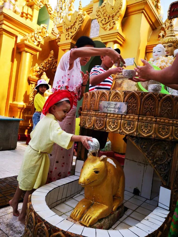 一个人的自由行西藏,一个人的泰国自由行