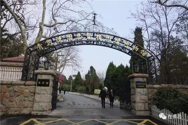 青岛哪个博物馆最值得一去,青岛博物馆最值得去的地方