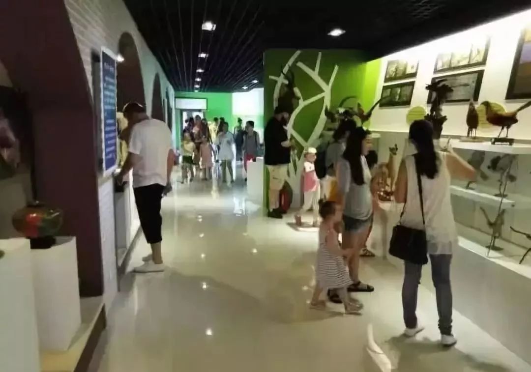 青岛哪个博物馆最值得一去,青岛博物馆最值得去的地方