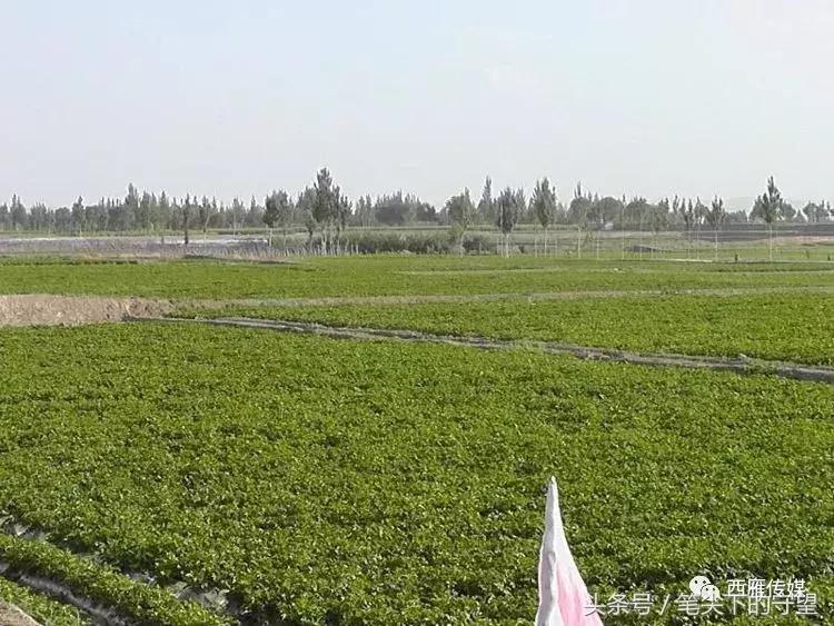 会宁学子求学故事,会宁学子事迹