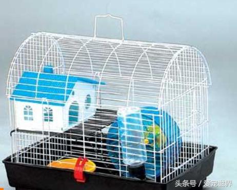 围观一只小吃货,捕捉一位小吃货