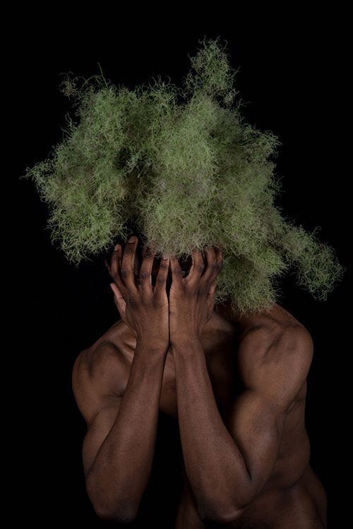 盛开在在头顶的艺术，可以准备换“花型”了！