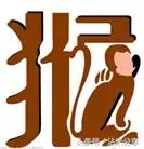 什么属相跟什么属相不能合婚,合婚最忌什么属相