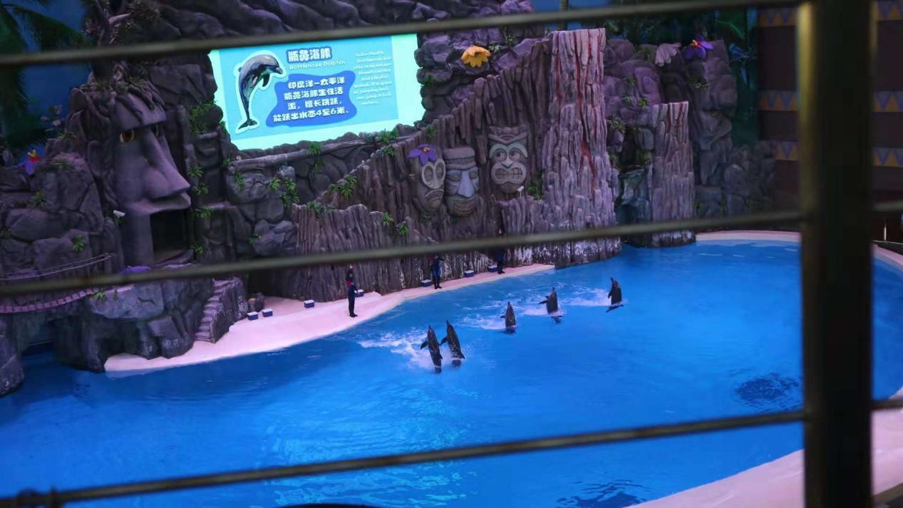 珠海长隆一天游玩攻略手写,珠海长隆游玩攻略免排队