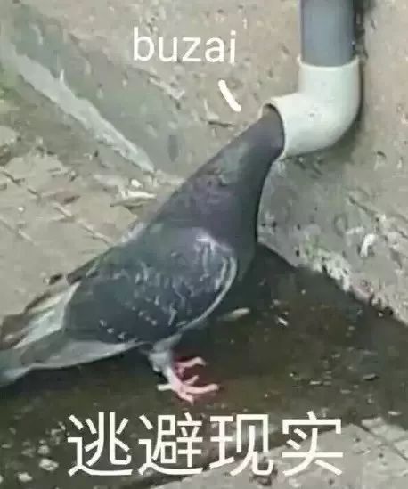 万事屋库存满了咋办,万事屋修复