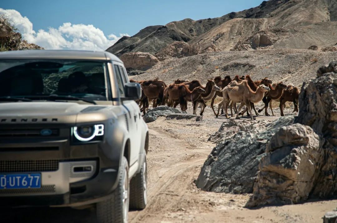 平行进口路虎卫士110版最新试驾,路虎卫士110p400e试驾