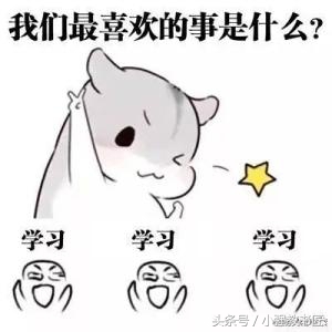 幼儿教师资格证笔试必背考点综合,幼儿园教师资格考试保教能力必背