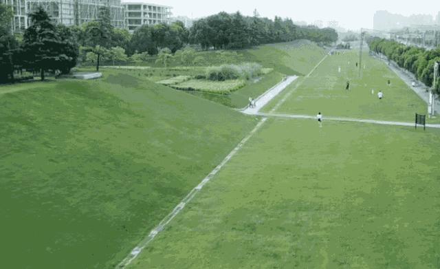 上海地铁3号线沿线美食,上海美食小吃一条街必打卡