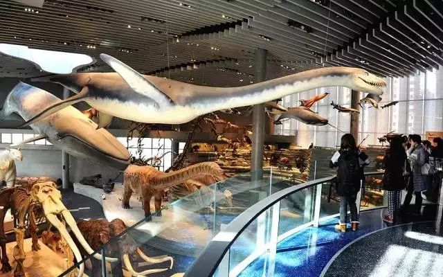 上海地铁的免费景点,上海地铁9号线沿线景点