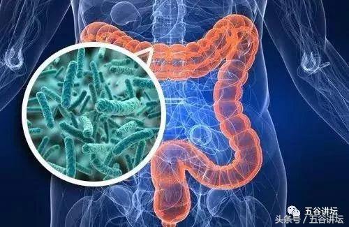 纽曼思益生菌适合多大宝宝吃,纽曼思益生菌曝光