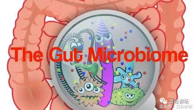 纽曼思益生菌适合多大宝宝吃,纽曼思益生菌曝光