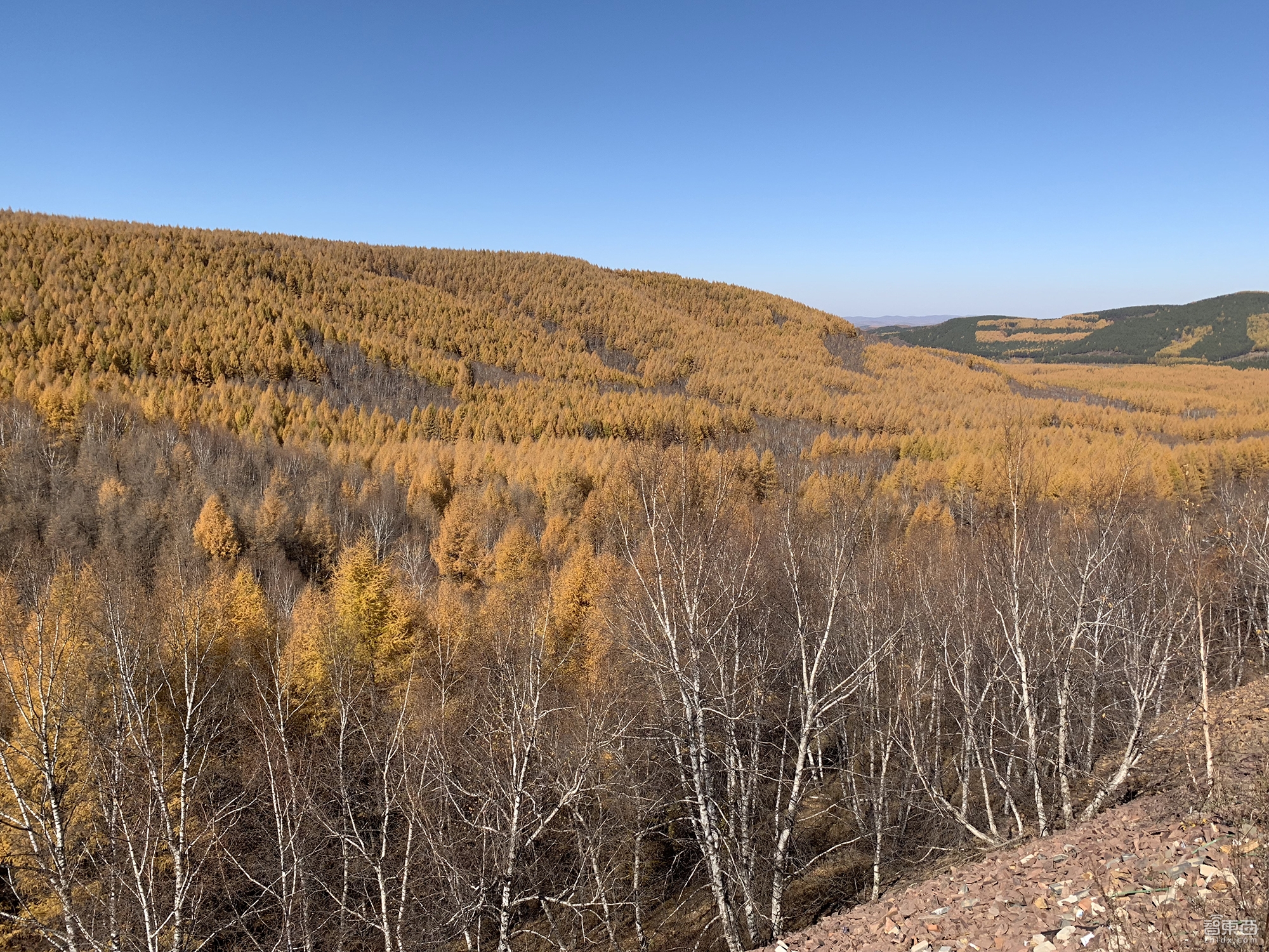 苹果iphonexsmax今年值得买吗,看看苹果iphonexsmax有多耐用