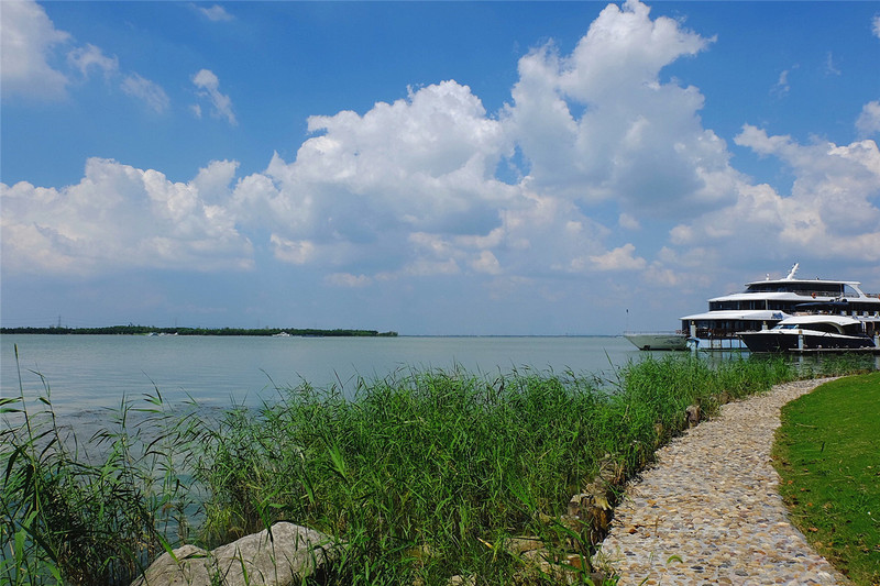 游园赏花品美食,游园赏景快乐游玩