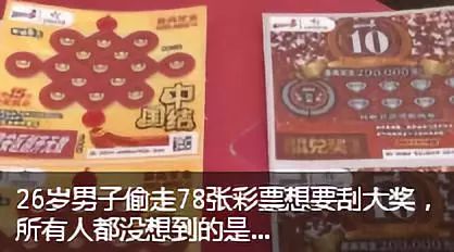 中国锦鲤2020,中国锦鲤后续走势