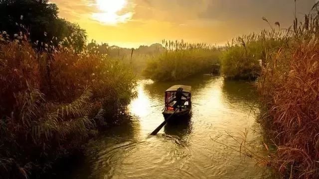 南沿江高铁南京段何时启动建设,沿江高铁南京到上海多少小时