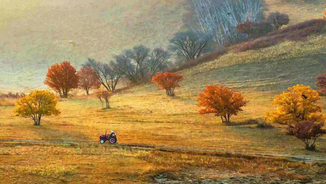 草原风光宛如油画 (呼伦贝尔大草原美图)