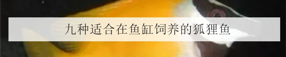海洋海底小百科,海洋小百科海洋生物
