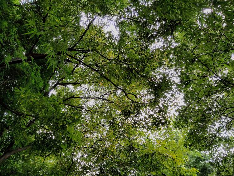 360手机n7pro测评,360n7pro跟哪款手机对比功能