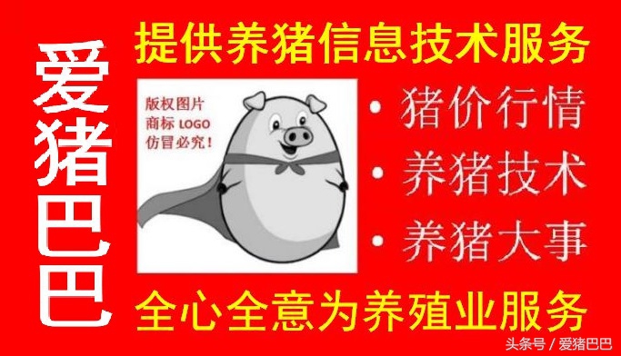 氟苯尼考对猪巴氏杆菌有作用吗,巴氏杆菌猪