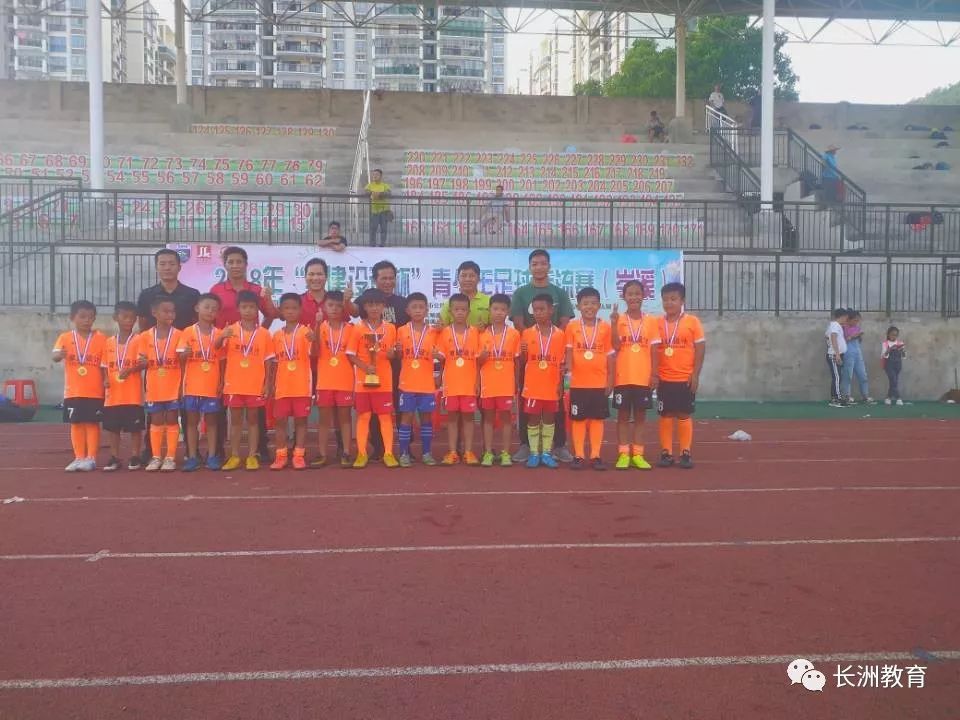 简讯免费看,简讯5分钟