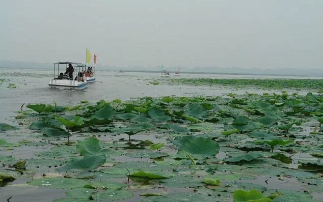 大局已定未来五年咋样,大局已定未来可期