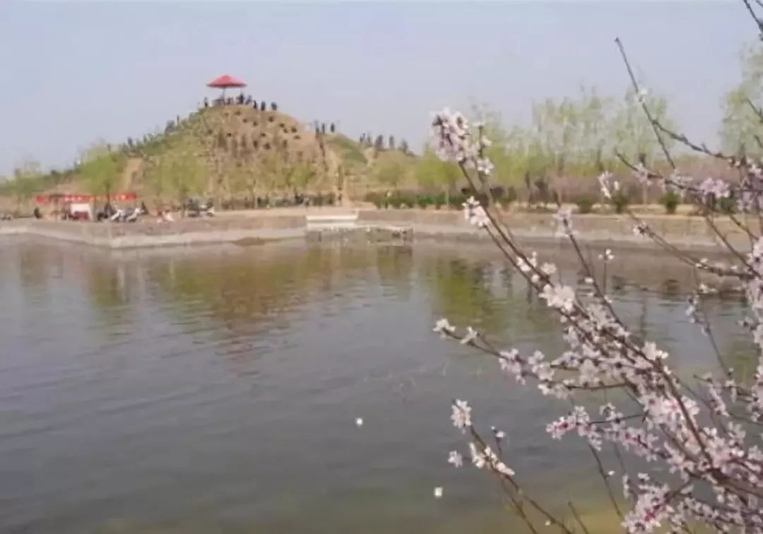 大局已定未来五年咋样,大局已定未来可期