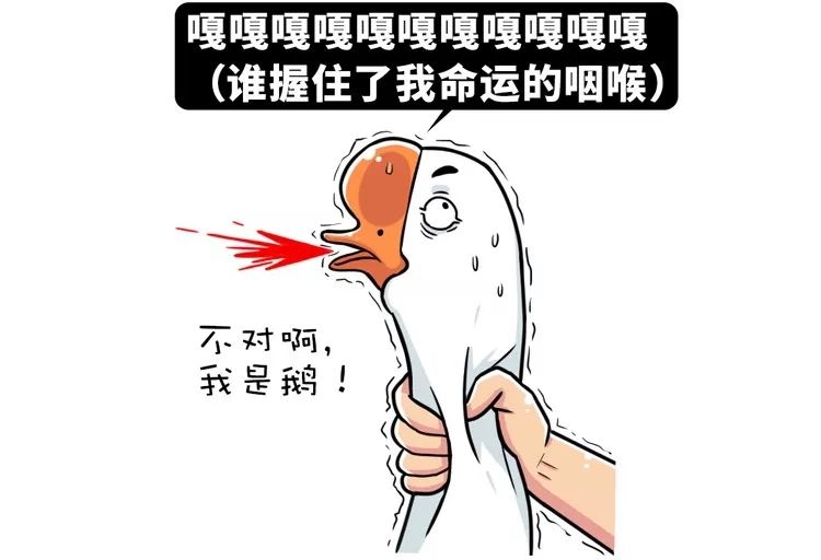 你经历过哪些因为方言导致的误会,方言导致的尴尬