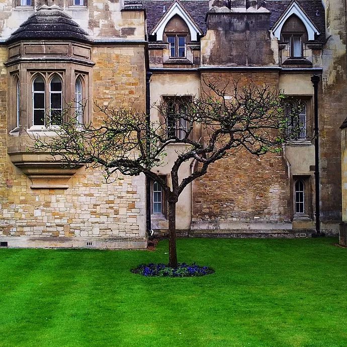 你是电你是光你是唯一的神话——牛顿究竟是一个怎样的人?