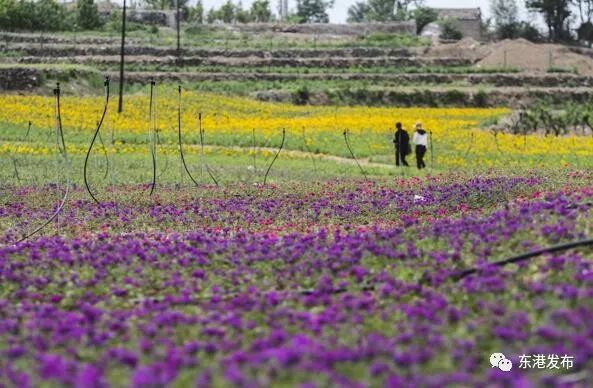 人民日报2022年百强区,人民日报百强区