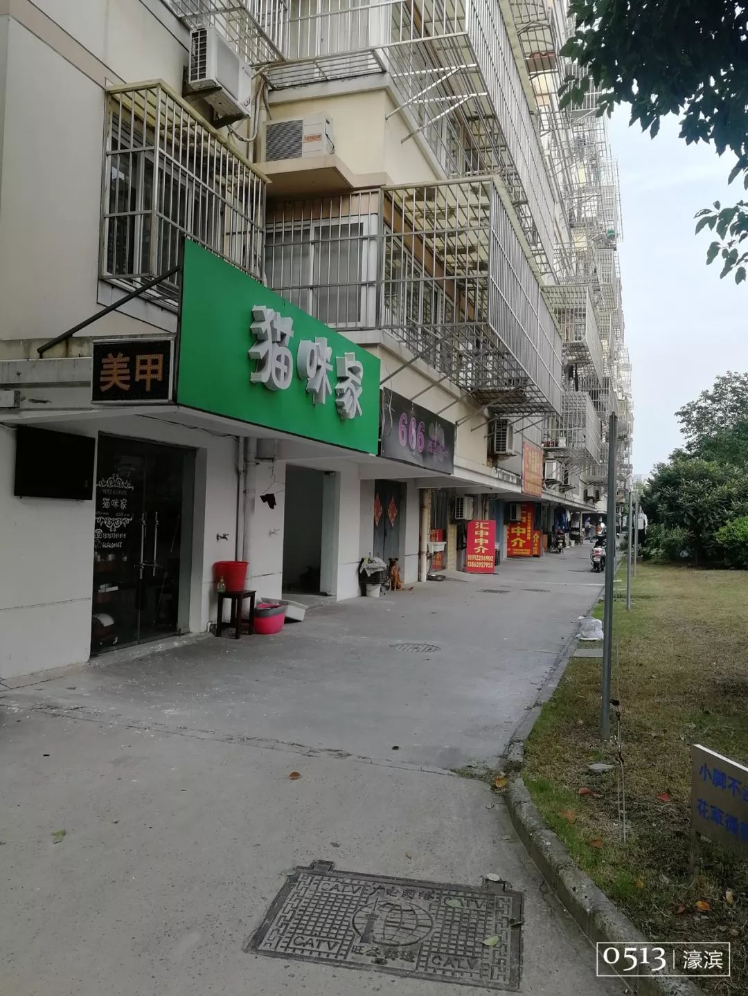 住在紫东的你快乐吗？