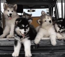 百元左右美白精华,高性价比美白精华