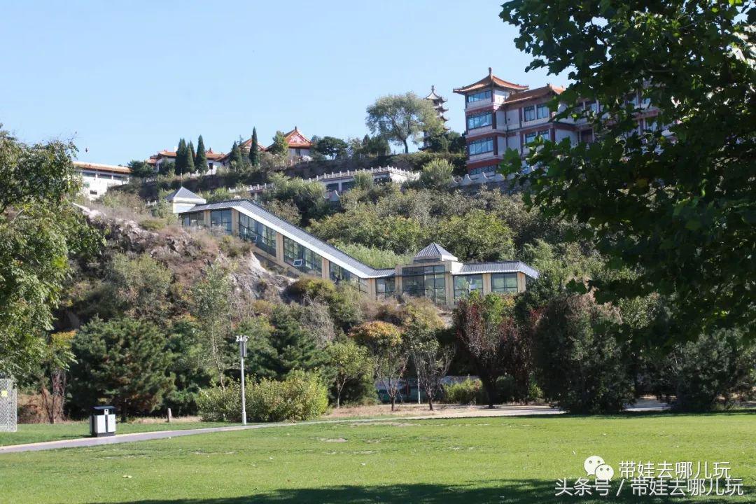 金海湖风景区有啥特点,金海湖风景区有什么玩的