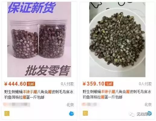 身价暴涨！蓬安农村这东西竟然卖300一斤？你家都有！