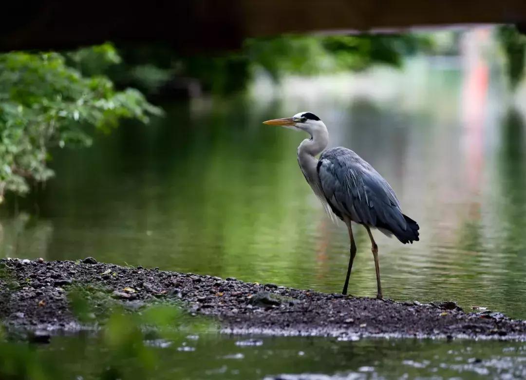 一台高性能便携笔记本对于旅行摄影有多重要从我的XPS说起