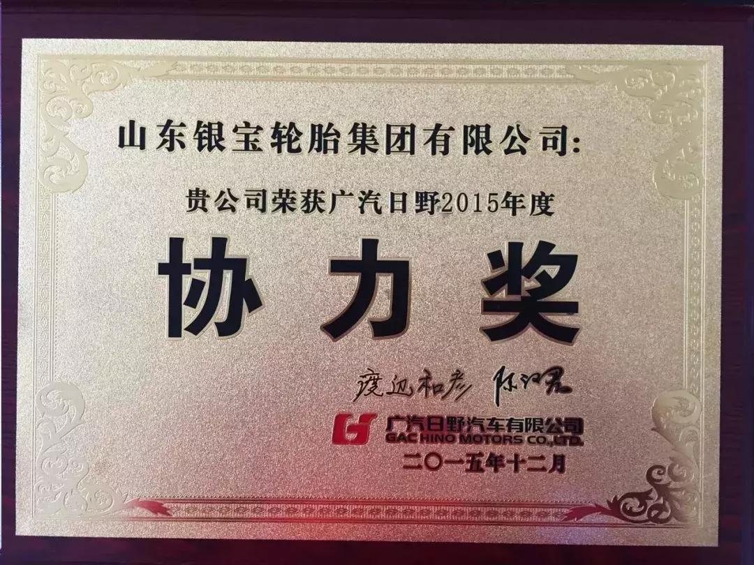 轮胎企业银宝,银宝轮胎集团简介