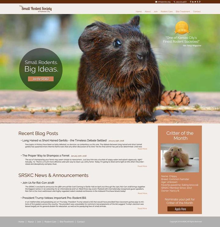 cssgrid怎么快速上手,cssgrid网格布局教程