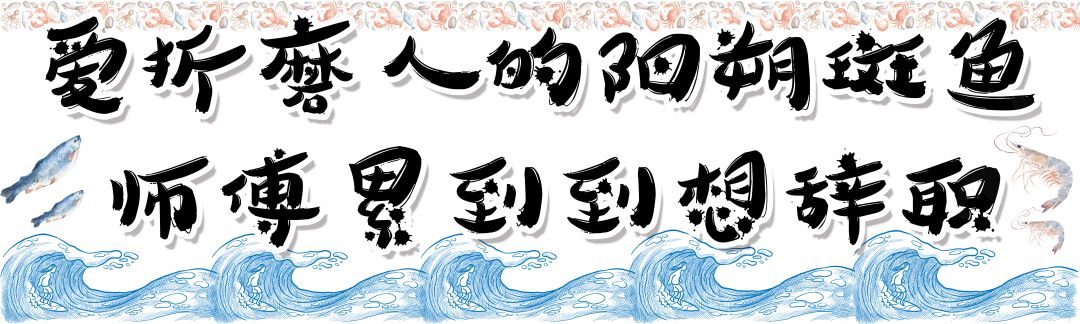 回头客最爱给“差评”的金牌老店，专卖薄过“冈本001”的……