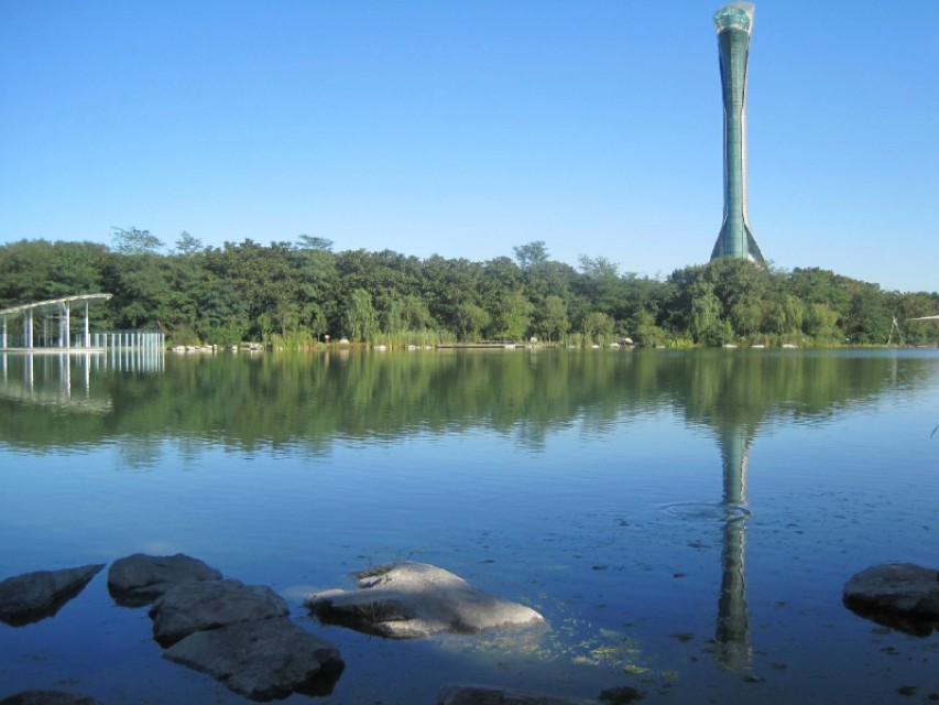 沈阳歌曲我的家乡,美丽沈阳