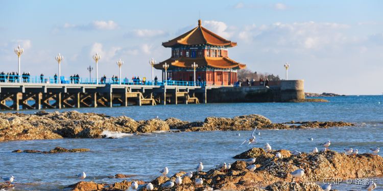 乳腺癌初期症状表现及治疗方案